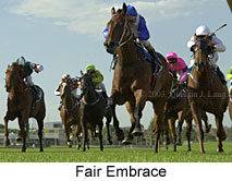 Fair Embrace (14122 bytes)