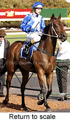 Return to scale (18861 bytes)