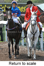 Return to scale (17769 bytes)