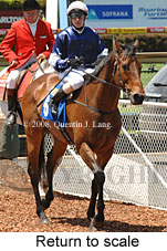 Return to scale (17769 bytes)