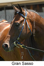 Gran Sasso (18507 bytes)