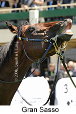 Gran Sasso (18507 bytes)