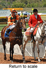 Return to scale (17769 bytes)