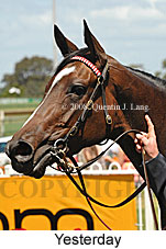 Yesterday (18507 bytes)