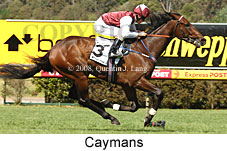 Caymans (18507 bytes)