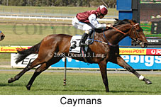 Caymans (18507 bytes)