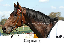 Caymans (18507 bytes)