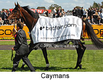 Caymans (18507 bytes)