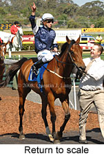 Return to scale (17769 bytes)