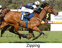 Zipping (18507 bytes)