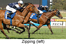 Zipping (18507 bytes)