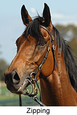 Zipping (18507 bytes)