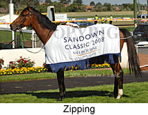 Zipping (18507 bytes)