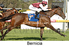 Bernicia (18507 bytes)