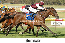 Bernicia (18507 bytes)