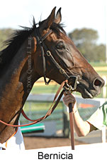 Bernicia (18507 bytes)