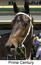 r1primecentury3.jpg (12433 bytes)