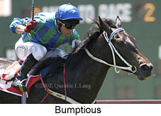 r2bumptious.jpg (13570 bytes)
