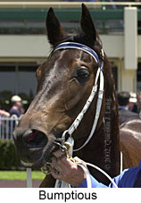 r2bumptious3.jpg (13177 bytes)