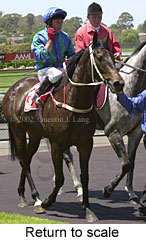 r2rtosc.jpg (16168 bytes)