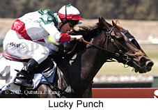 r4luckypunch.jpg (15138 bytes)