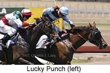 r4luckypunch2.jpg (14745 bytes)