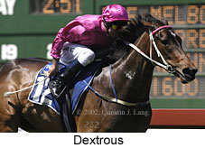 r5dextrous.jpg (15195 bytes)