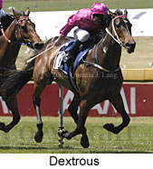 r5dextrous2.jpg (13937 bytes)