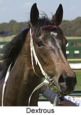 r5dextrous3.jpg (12210 bytes)