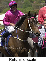 r5rtosc.jpg (14677 bytes)