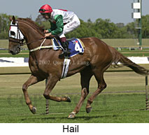 r6hail3.jpg (14595 bytes)