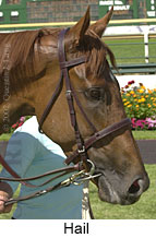 r6hail4.jpg (12898 bytes)