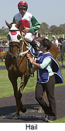 r6hail5.jpg (13150 bytes)