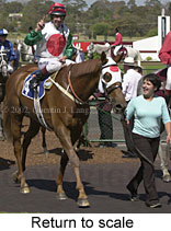 r6rtosc.jpg (15317 bytes)