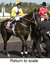 r7rtosc.jpg (16085 bytes)