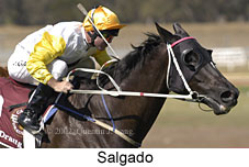 r7salgado.jpg (13303 bytes)