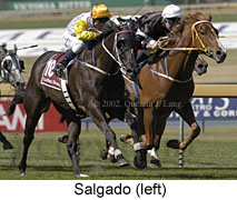 r7salgado3.jpg (17086 bytes)