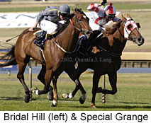 r8bridalhill.jpg (18007 bytes)