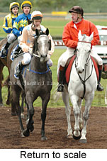 Return to scale (14872 bytes)