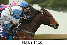 Flash Trick (14872 bytes)