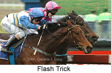 Flash Trick (14872 bytes)