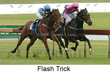 Flash Trick (14872 bytes)