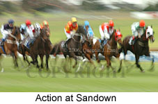 action (14872 bytes)