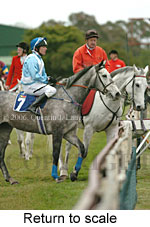 Return to scale (14872 bytes)