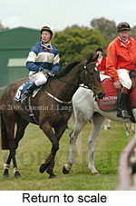 Return to scale (14872 bytes)