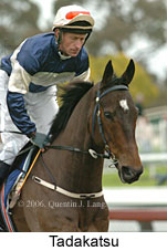 Tadakatsu (13468 bytes)