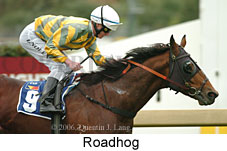 Roadhog (14872 bytes)