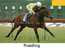 Roadhog (14872 bytes)