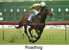 Roadhog (14872 bytes)