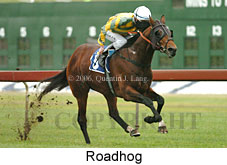 Roadhog (14872 bytes)